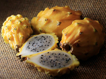 Dragonfruit  Goldenberry Farms